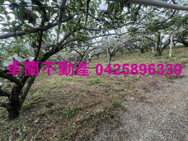 苗栗農地-4