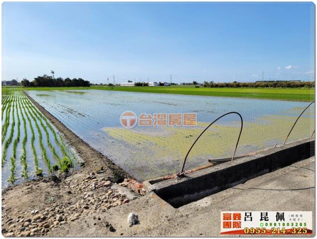 民雄農地-5