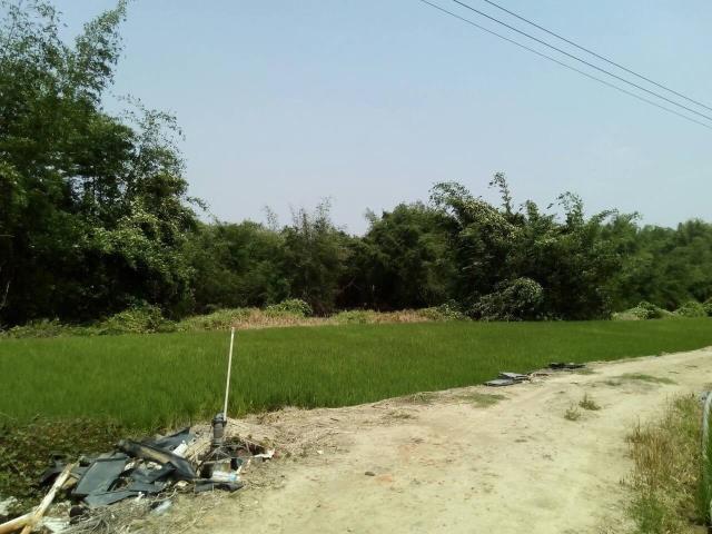 嘉義大林農地-1