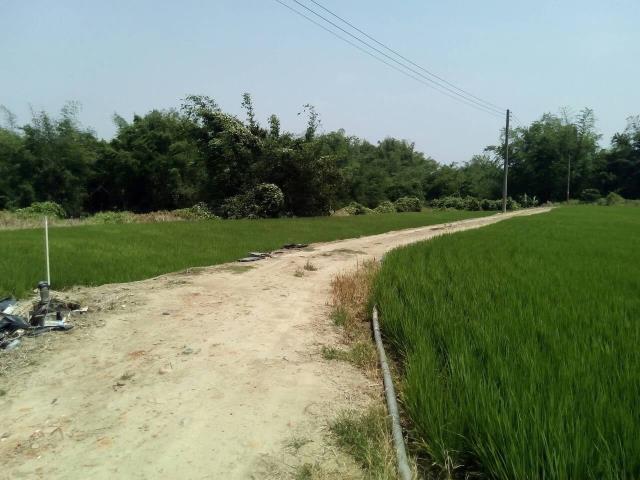 嘉義大林農地-4