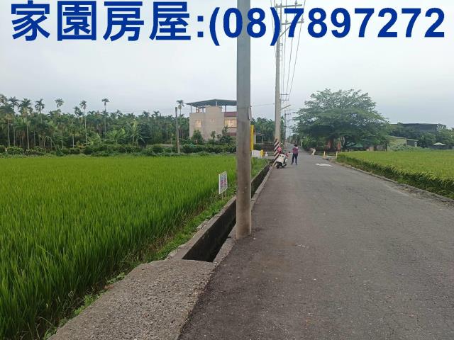 屏東農地-2