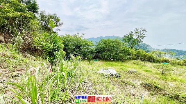 新竹橫山農地-13