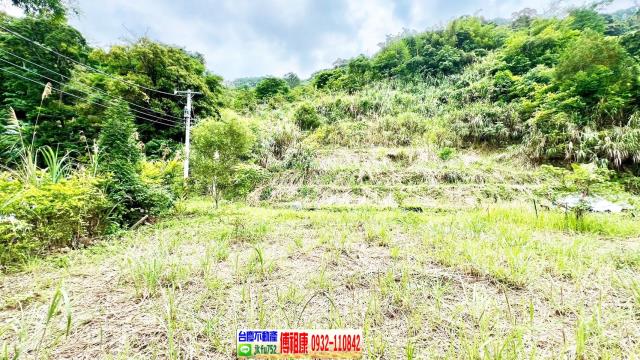 新竹橫山農地-0