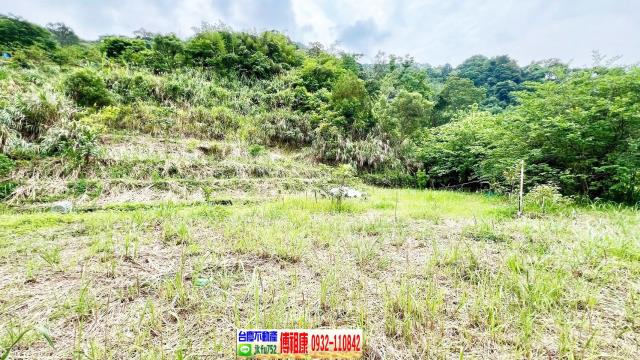 新竹橫山農地-2