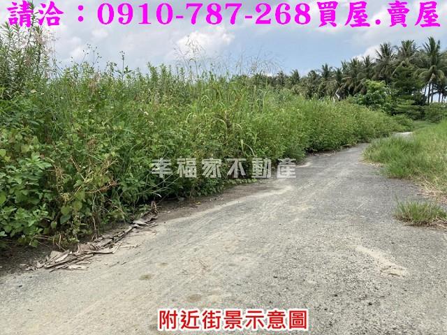 台南農地-9