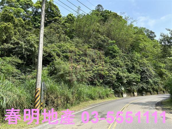 新竹農地-1