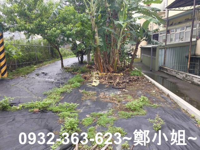 桃園桃園區農地-0