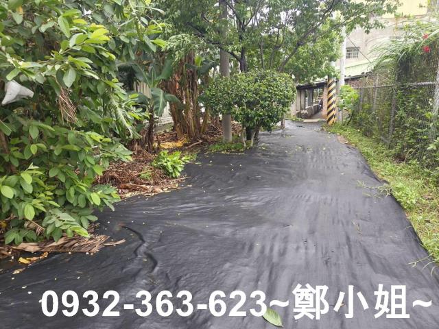 桃園桃園區農地-2
