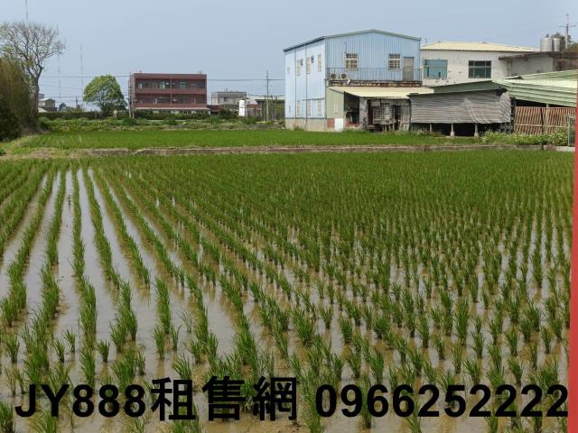 新竹新豐農地-7