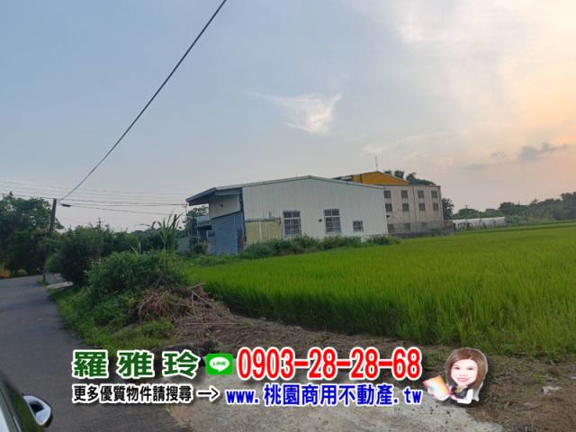 桃園中壢農地-1
