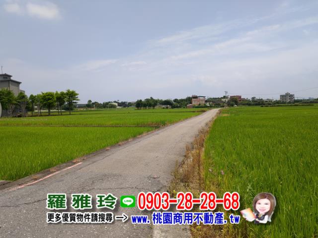 桃園中壢農地-5