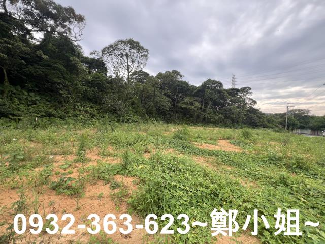 桃園平鎮農地-9