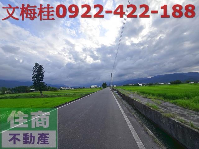 宜蘭三星農地-1