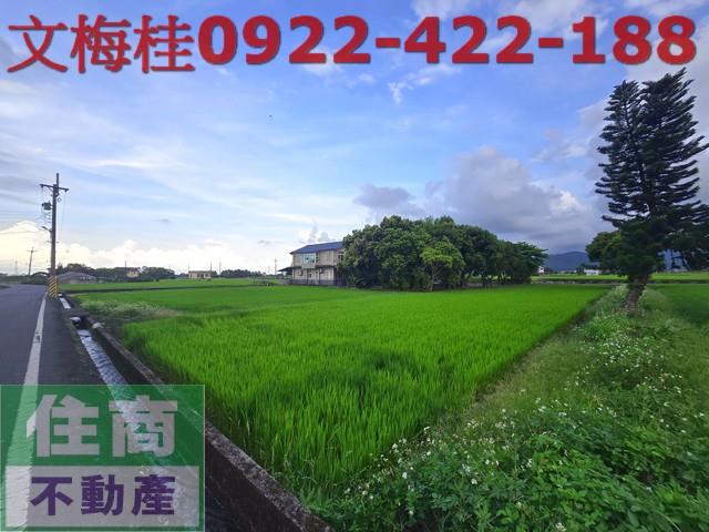 宜蘭三星農地-4