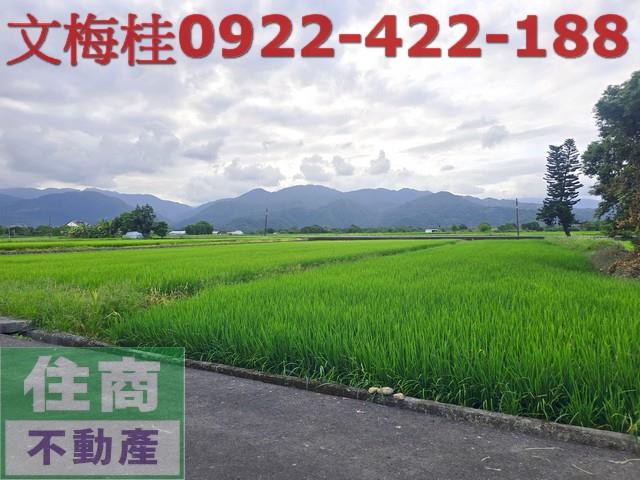 宜蘭三星農地-6