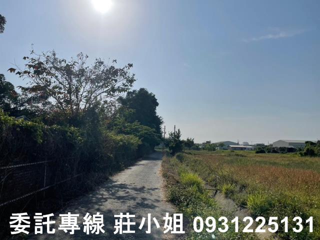 歸仁農地-5