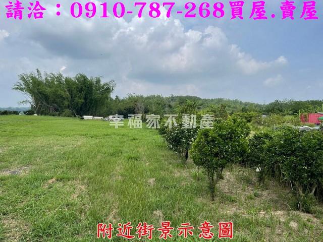 台南大內農地-12
