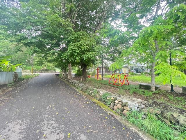 嘉義水上農地-3