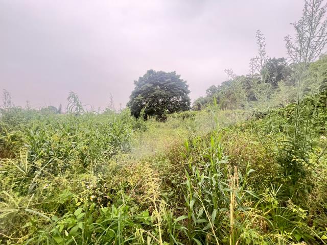 嘉義水上農地-6