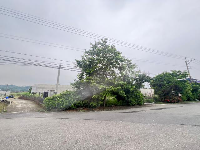 嘉義水上農地-7