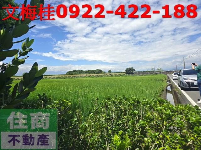 宜蘭壯圍農地-5