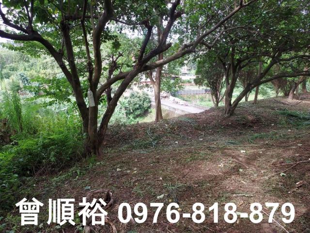 新竹橫山農地-7