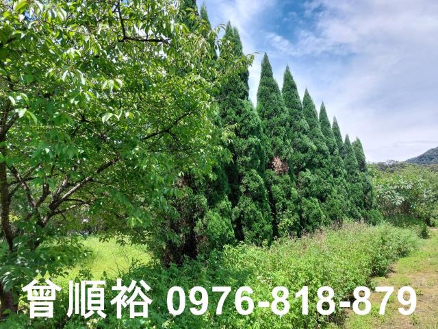 新竹橫山農地-1