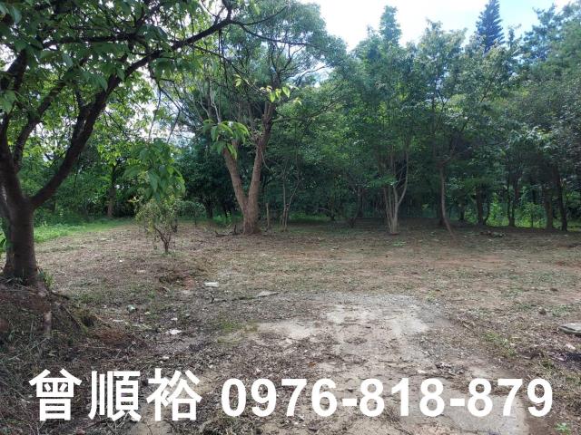 新竹橫山農地-8