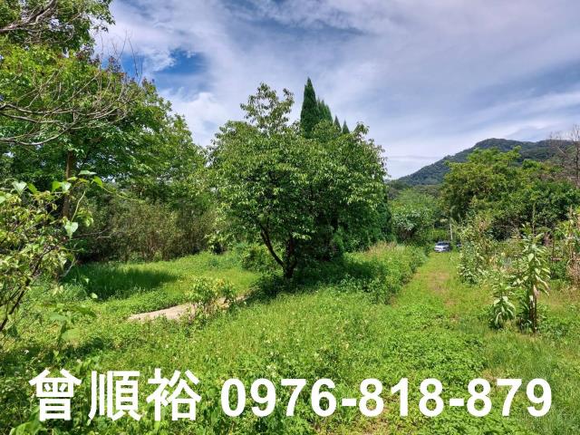 新竹橫山農地-2