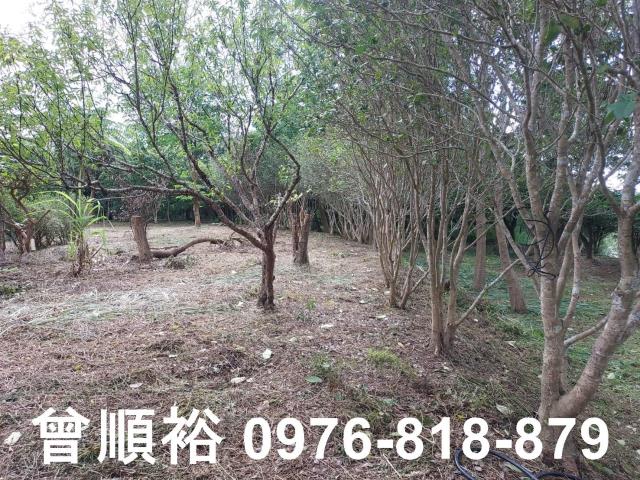 新竹橫山農地-9