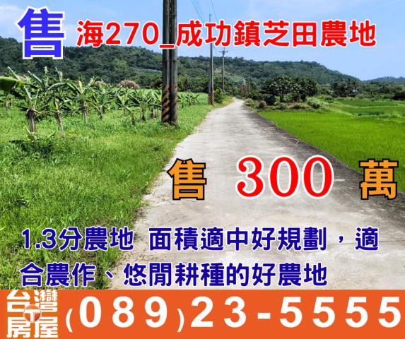成功鎮農地