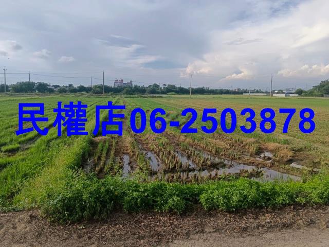 柳營農地-1