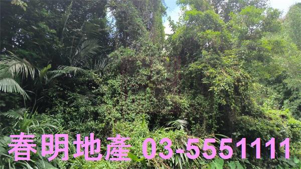 關西農地-3