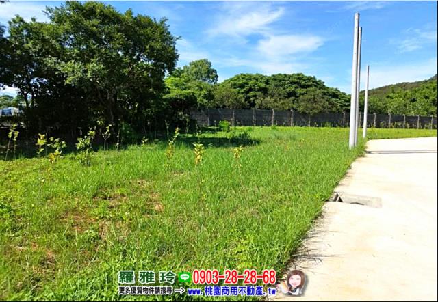 桃園平鎮農地-8