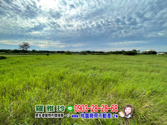 大園農地-4