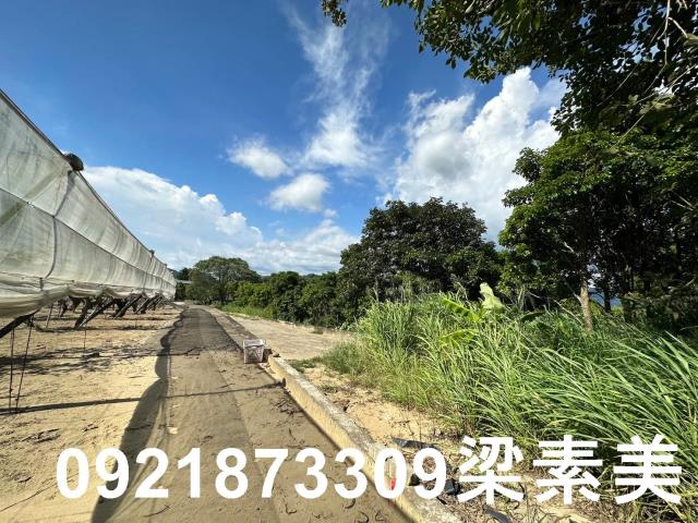 玉井農地-2