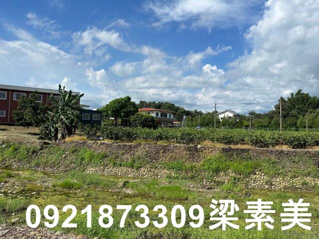 玉井農地-4