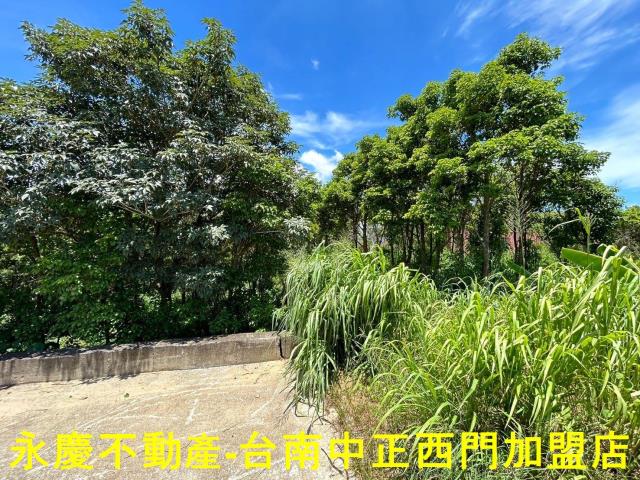 玉井農地-12
