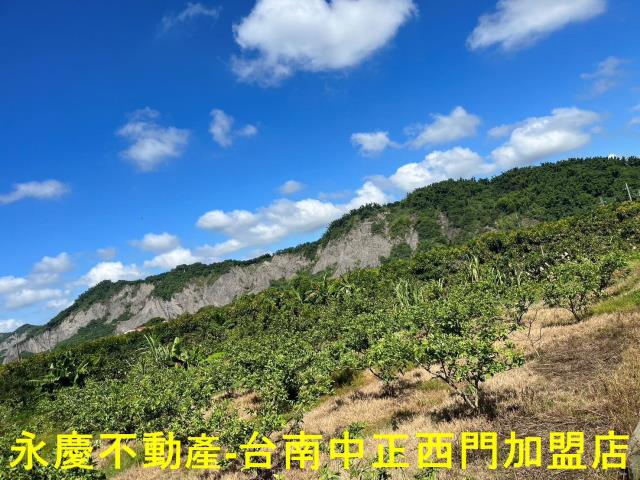 玉井農地-3