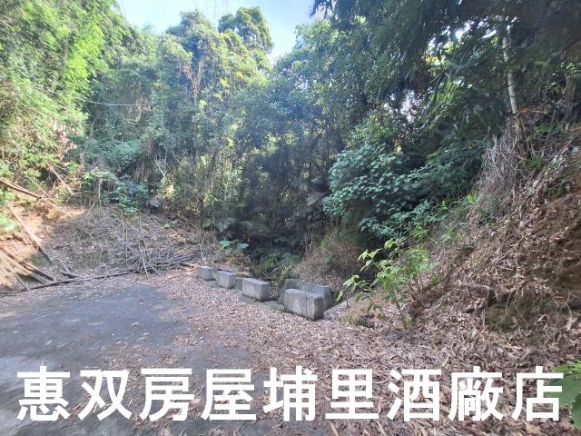 南投市農地-1