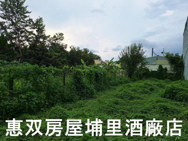 埔里建地-4