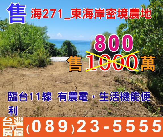 台東農地-0