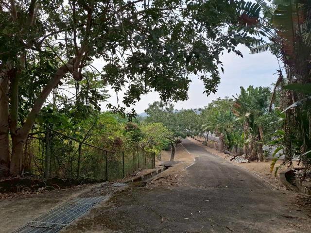 大內區大內國道84旁景觀平坦農地住商姚語宸