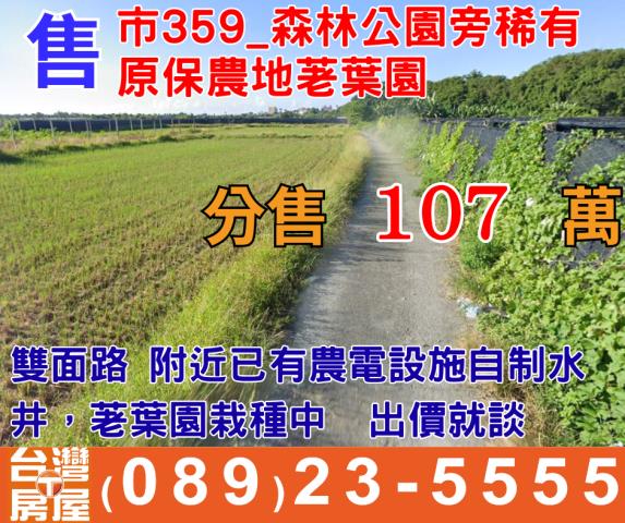 原保農地荖葉園