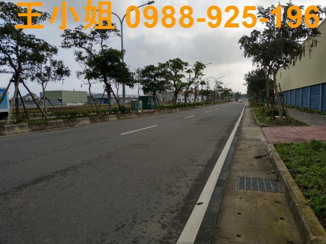 桃園建地-4