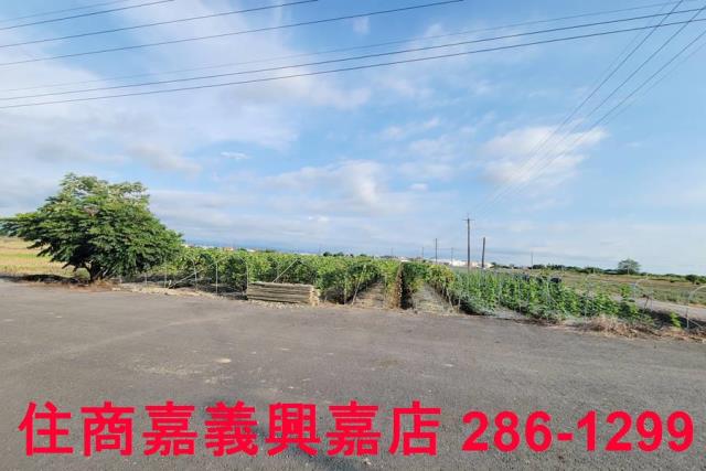 嘉義農地-8