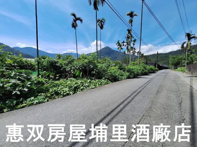 埔里農地-4