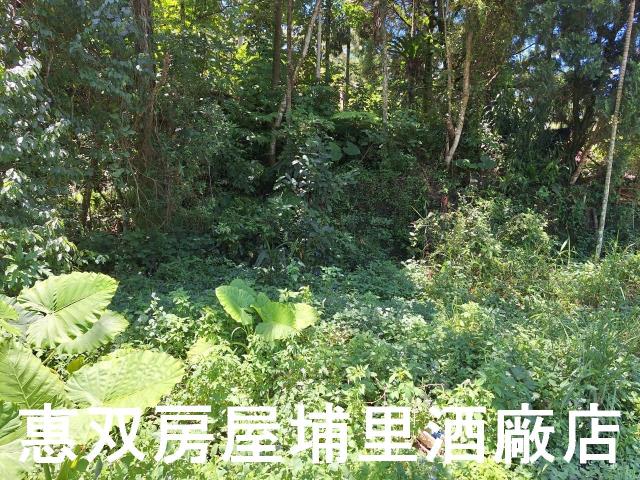 魚池農地-7