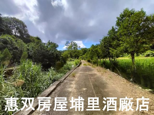 埔里農地-1