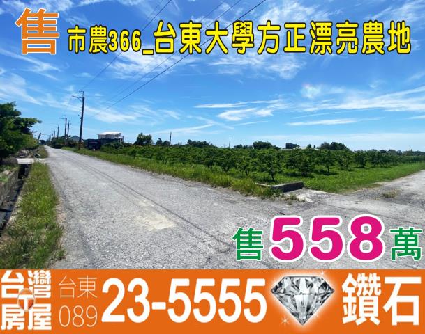 台東台東市農地-0